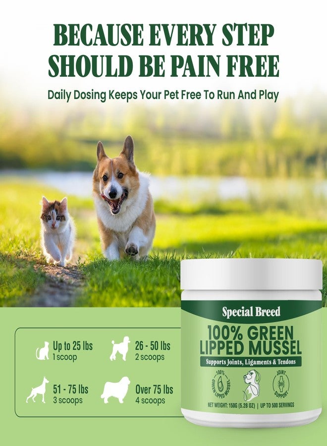 Special Breed Green Lipped Mussel Powder for Dogs & Cats - 100% New Zealand Green Lipped Mussels - Natural Hip & Joint Supplement for Joints, Tendons, Ligaments, Muscles - 150 Grams - Up to 500 Servings - Image 5